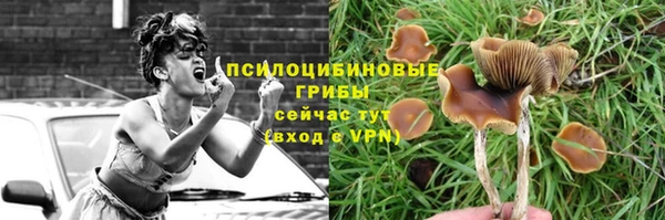 первитин Алексин